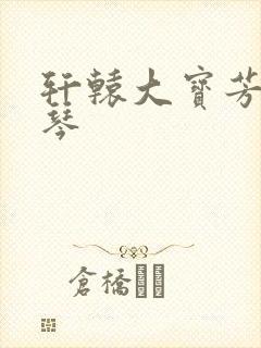 轩辕大宝芳菲雅琴