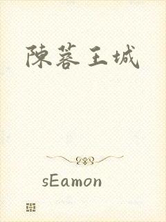 陈蓉王城封面