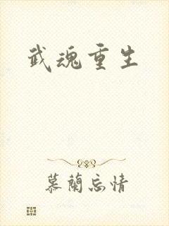 武魂重生封面
