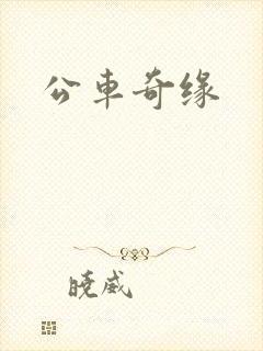 公车奇缘