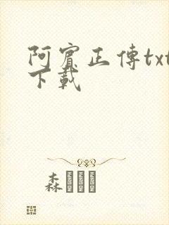 阿宾正传txt下载
