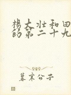杨大壮和田桂花的第二十九