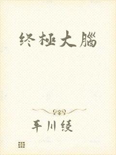 终极大脑封面