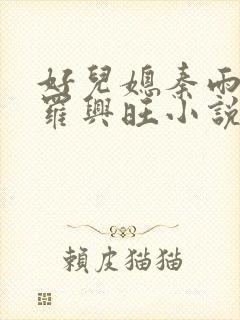 好儿媳秦雨罗明罗兴旺小说