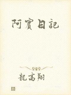 阿宾日记封面