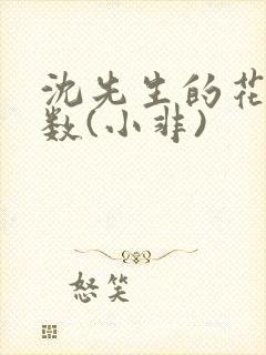 沈先生的花式调数(小非)