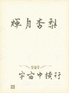 辉月杏梨封面