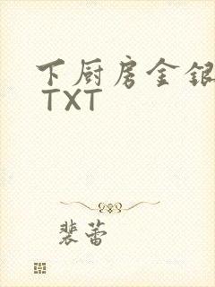 下厨房金银花露 TXT封面