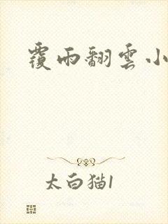 覆雨翻云小说