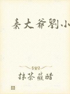 秦大爷刘小静