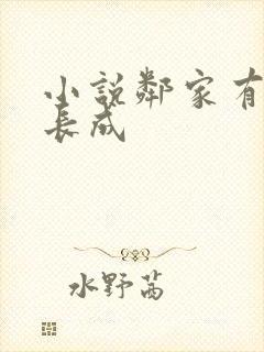小说邻家有女初长成
