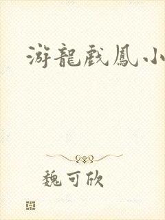 游龙戏凤小说