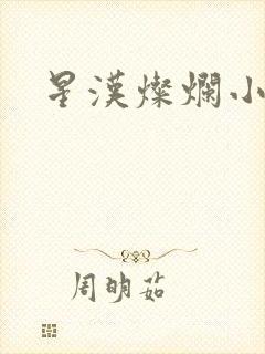 星汉灿烂小说封面