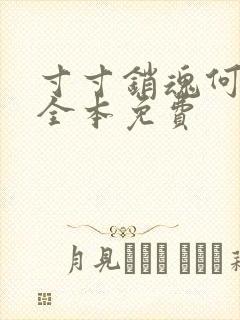寸寸销魂何生祥全本免费