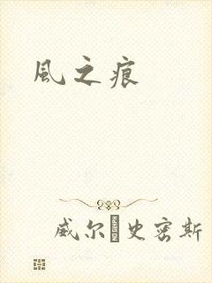 风之痕封面