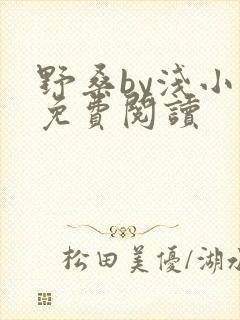 野桑by浅小说免费阅读