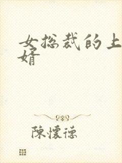 女总裁的上门女婿