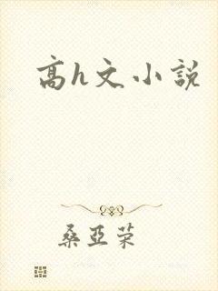 高h文小说