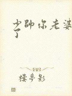 少帅你老婆又跑了
