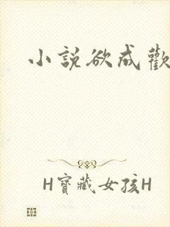 小说欲成欢