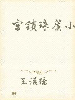 宫锁珠帘小说