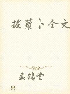 书籍封面