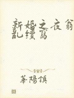 新婚之夜翁莹情乱续写封面
