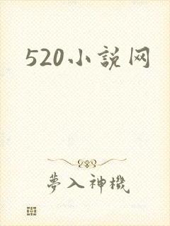 520小说网