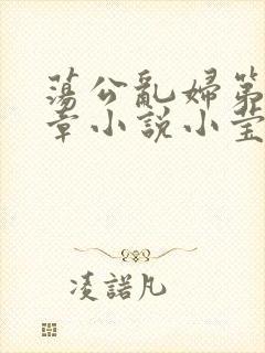荡公乱妇第51章小说小莹
