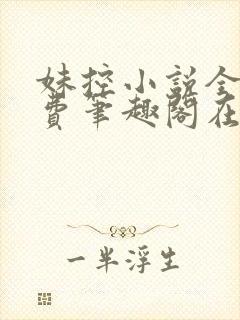 妹控小说全文免费笔趣阁在线阅读
