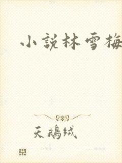 小说林雪梅