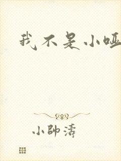 我不是小哑巴封面