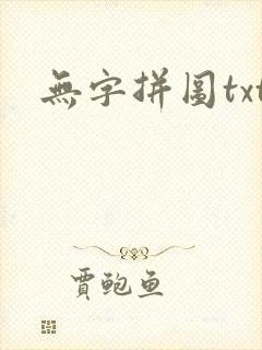无字拼图txt