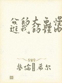 公的大龟慢慢挺进我的体内