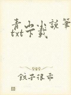 青山小说笔趣阁txt下载