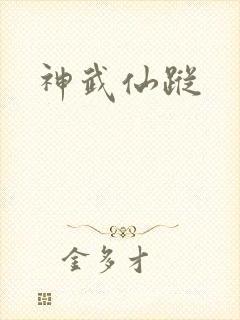 神武仙踪封面