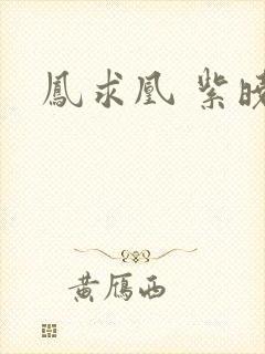 凤求凰 紫晓封面