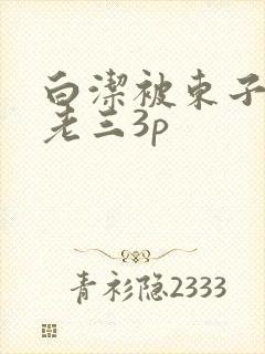 白洁被东子老二老三3p