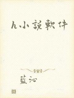 h小说软件