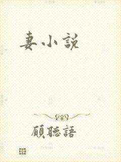 妻小说封面