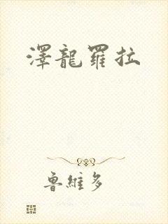 泽龙罗拉封面