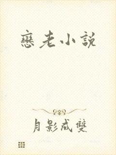 恋老小说