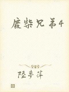 废柴兄弟4封面
