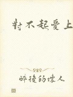 对不起爱上你