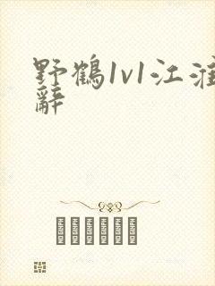 野鹤1v1江淮辞封面