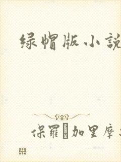 绿帽版小说
