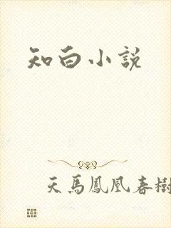 知白小说