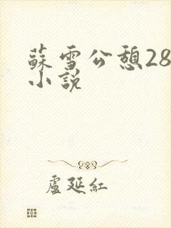 苏雪公憩28篇小说