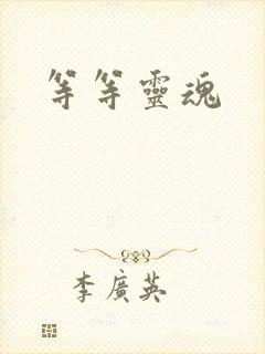 等等灵魂