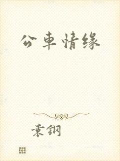 公车情缘